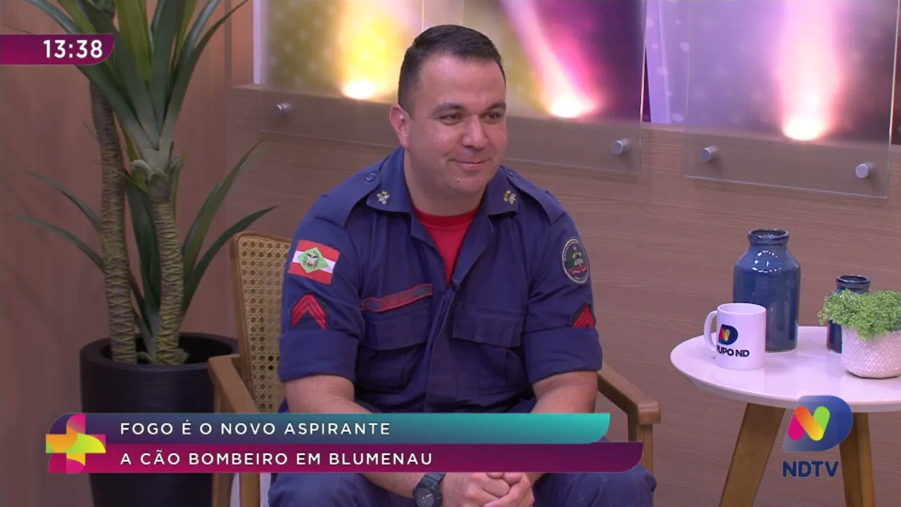 Pet News: conheça o novo aspirante a cão bombeiro de Blumenau