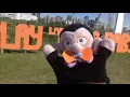Play La Bamba Oilers!!!  A Tribute from your fans, Count, Little Count, Frankie, Ghost, and Frog!