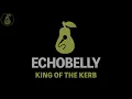 Echobelly - King of the Kerb (Karaoke)