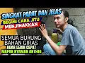 Download Lagu CUMA PAKAI CARA INI ⁉️ SEMUA BURUNG BAHAN GIRAS JADI CEPAT JINAK DAN MAPAN