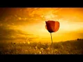 Download Lagu Ne désespère pas de la miséricorde d'Allah (MUHAMMAD WORA)
