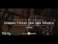Download Lagu Jangan Cintai Aku Apa Adanya – Tulus (KARAOKE AKUSTIK - MALE KEY)