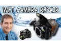Download Lagu How to Repair and Save a Wet DSLR Camera