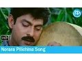 Lagu Norara Pilichina Song - Alludugaru Vacharu Movie Songs - Jagapathi Babu - Heera - Kaushalya