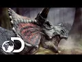 Download Lagu De sterkste van alle dinosaurussen: de triceratops | Clash of the Dinosaurs