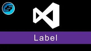 Label - Visual Basic Programming VB NET VBScript