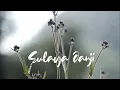 Download Lagu SULAYA JANJI/pop sunda