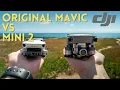 Original DJI Mavic Pro VS DJI Mini 2 Which One Should You Get