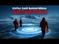 Download Lagu 25 Fakta Liar yang Terlalu Sayang untuk Dilewatkan