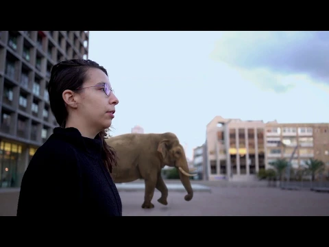 THERE ARE NO LIONS IN TEL AVIV (Trailer)