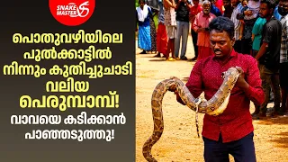 നാട്ടുകാരെ വിറപ്പിച്ച പെരുമ്പാമ്പ്! വാവയ്ക്ക് നേരെ ചീറിയടുത്തു | Python Rescue | Snakemaster EP 1219