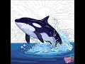 Orca Whale - Happy Color