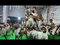 Lagu Bahut hi sundar prastuti panthi party kormi bilaspur  Lalpur mela 2024 #satnam #viralvideo #cg 