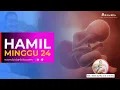 Lagu Minggu 24 - Kehamilan dari Minggu ke Minggu