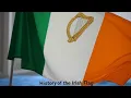 The History of the Irish Flag From Origins to Modern Symbolism