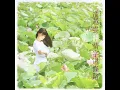 潘越雲 - 情字這條路 / This Road of Love (by Michelle Pan)