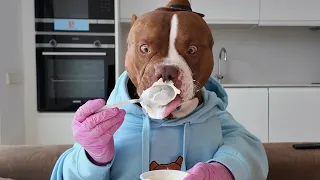 CHOCOLUNCH: Greek Yougurt🍦