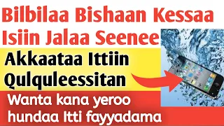 Akkaataa Bilbilaa Bishaan Kessa Isiin Jala Seenee Ittiin Qulqullessitan 