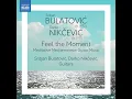 Imagination - Srdjan Bulatović & Darko Nikčević