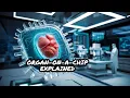How Organ-on-a-Chip Is Revolutionizing Medical Research