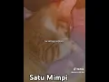 Lagu Satu mimpi - farel Prayoga versi meme