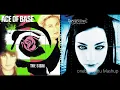 Download Lagu Sign Of Life - Ace Of Base vs. Evanescence \u0026 Paul McCoy (Mashup)