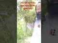 Download Lagu #आम #mango #india #indian #swad #ras #family #frouts #viralvideo #shortvideo #trending #trend #short