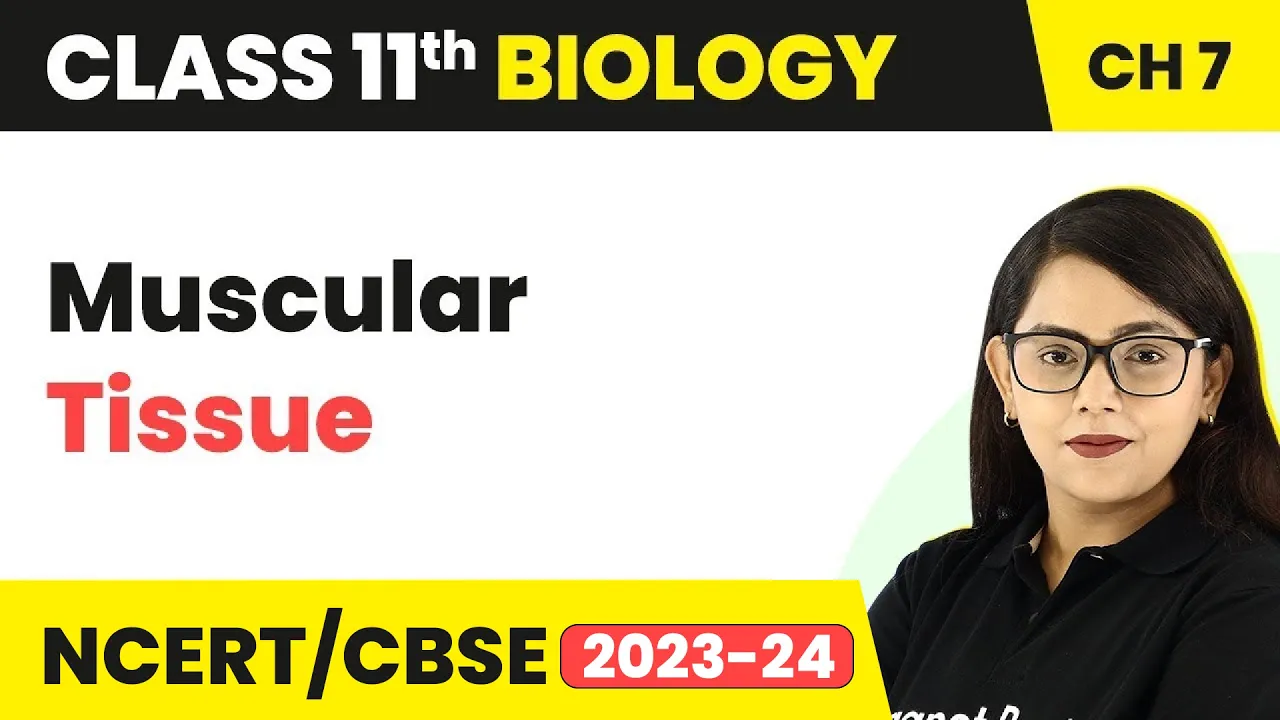 Muscular Tissue Class 11 | Structural Organisation In Animals | Class 11 Biology
