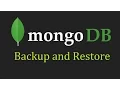 MongoDB Tutorial for Beginners - 14