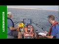 Download Lagu Natuurlijke riffen in de Waddenzee - KennisOnline 2023