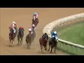 R6 Delaware Park 14 Aug 2026
