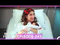 Download Lagu Our Story Episode 243 Final