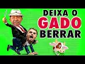 MÚSICA DE LULA LULA 2022