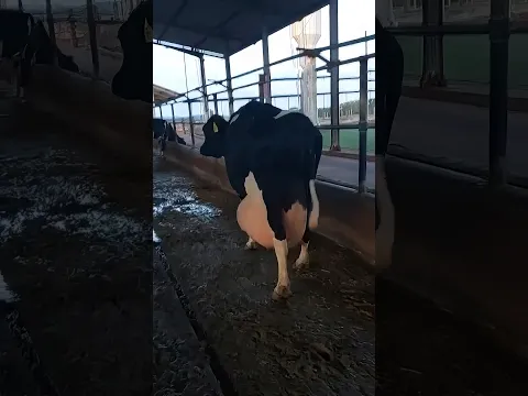 This is not what motherhood should look like 💔