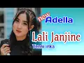 Lagu Adella terbaru 2021 yeni inka lali janjine