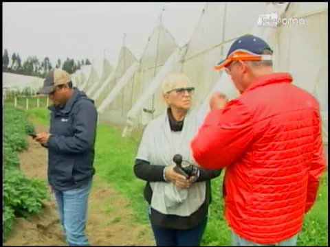 Ecuador Agropecuario 24-07-2018