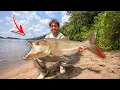 I Caught The DEADLIEST Fish on Earth The Goliath Tiger Fish