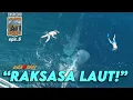 Download Lagu “Petualangan Gila‼️ Bertemu Hiu Paus di Teluk Saleh Sumbawa”…eps.5