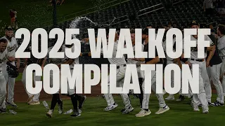 Every Walk-Off Win Sacramento River Cats 2025 Season Highlights