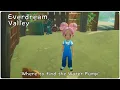 Everdream Valley Where to find the Water Pump Irrigation System - Quest