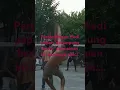Download Lagu Pertandingan redi papan, yang kalah buka baju