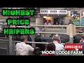 HIGHEST PRICE HEIFERS