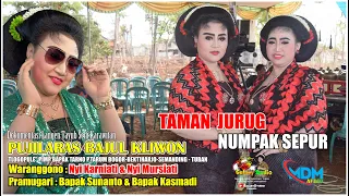 TAMAN JURUG VERSI TAYUB -NUMPAK SEPUR NYI KARNIATI \u0026 NYI MURSIATI || PUJ LARAS BAJUL KLIWON