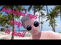 how to download all mp5 songs in  tamil