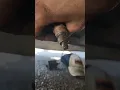 cummins isx outlet nox sensor Install and removal