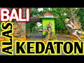 Download Lagu alas kedaton tabanan bali update 2022
