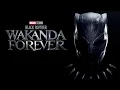 Black Panther Wakanda Forever - Wikipedia Version Spoilers