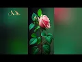 Download Lagu Lorena Nhate ft M.Bow- Casal do ano