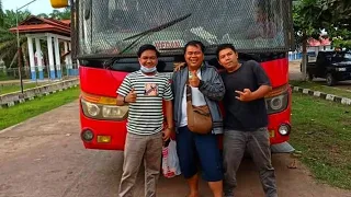 Bayi Bayi Naik Bus Umum | Tata Cara Naik Bus Yang Benar | Lagu Anak-anak | BabyBus Bahasa Indonesia. 