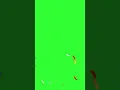 Download Lagu Confetti Green Screen #videoediting #greenscreenfootage #confetti